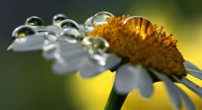 <p class='MsoNormal'><b>İHTİYACINIZ OLAN TEK ŞEY GÜNEŞ</b></p>