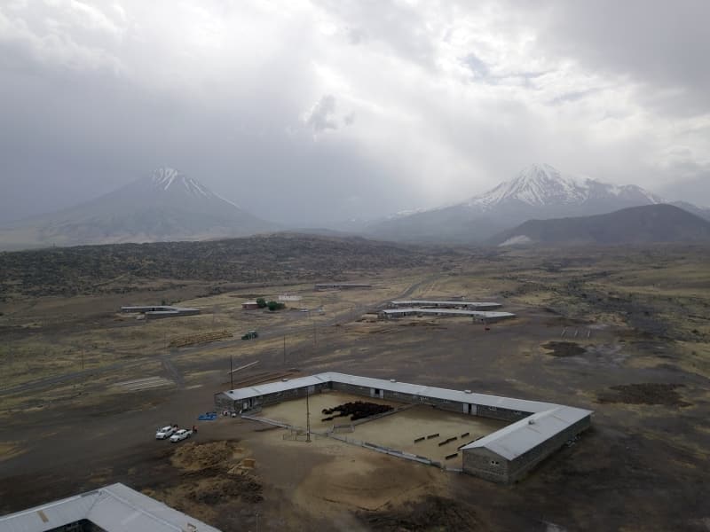 <p>İşletmede, siyah alaca ırkı sığır yetiştiriciliği yapılıyor. 2019 yılında 2 bin 378 büyükbaş hayvan varlığı bulunan işletmede, 931 buzağı yetiştirildi.</p>