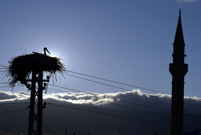 <p>Leyleklerin saysndaki artn kyllerin duyarllndan kaynaklandn dile getiren Akdeniz, sayy daha ok artrmak iin gelecek yl leyleklere ayrca yuva yapacaklarn syledi.</p>