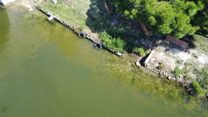 <p>Küçükçekmece gölünde binlerce ölü balık kıyıya vurdu</p>