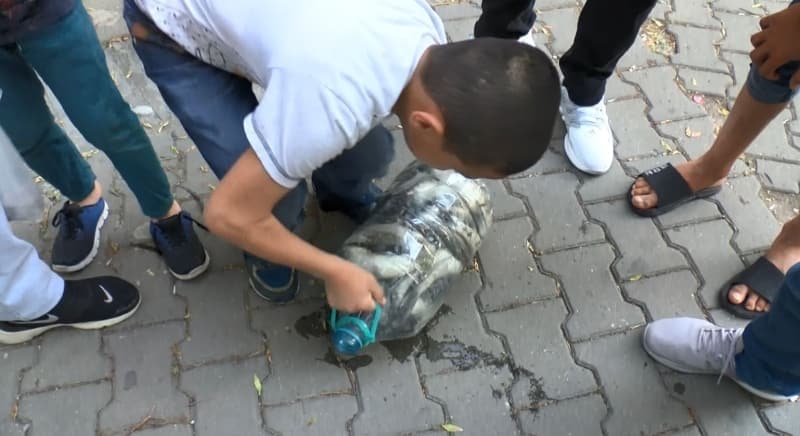 <p>Küçükçekmece gölünde binlerce ölü balık kıyıya vurdu</p>