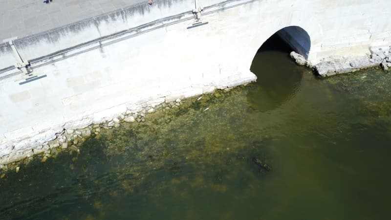 <p>Küçükçekmece gölünde binlerce ölü balık kıyıya vurdu</p>