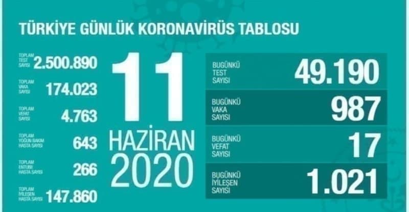 <p>11 Haziran koronavirüs tablosu </p>