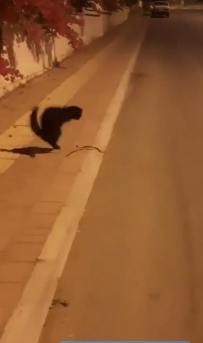 <p>O anlar bir vatanda� taraf�ndan cep telefonu kameras�yla g�r�nt�lendi.</p>