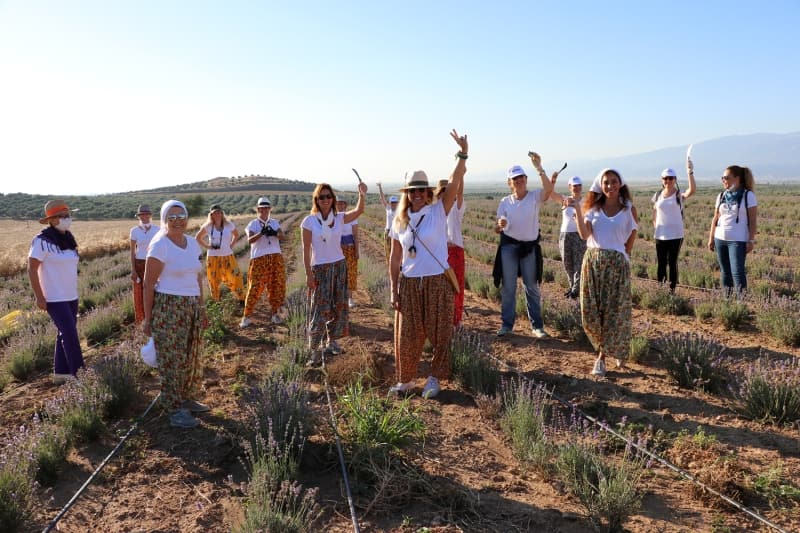 <p>Salihli Kadın Girişimi Üretim ve İşletme Kooperatifi Yönetim Kurulu Üyesi Özge Arapkirli de bölgede lavanta üretiminin yeni başladığını aktararak, 'Çiğdem ve Adile Hanım buraya hızlıca sıkım için tesis kurdu. Yağlarımız çok taze ve içerisindeki tıbbi özelliklerini koruyor. Bu bizim için çok önemli. Biz de bu yağlardan sabun yapıyoruz ve kozmetik sektöründe yağ olarak kullanıyoruz.' dedi.</p>