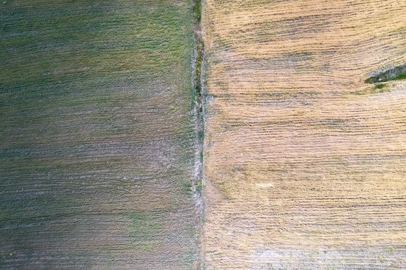 <p>Hasadı haziran ayının sonunda başlayıp temmuz ayında devam eden tarlalar, birbirinden farklı renklere bürünerek tarım arazilerini süslüyor.</p>