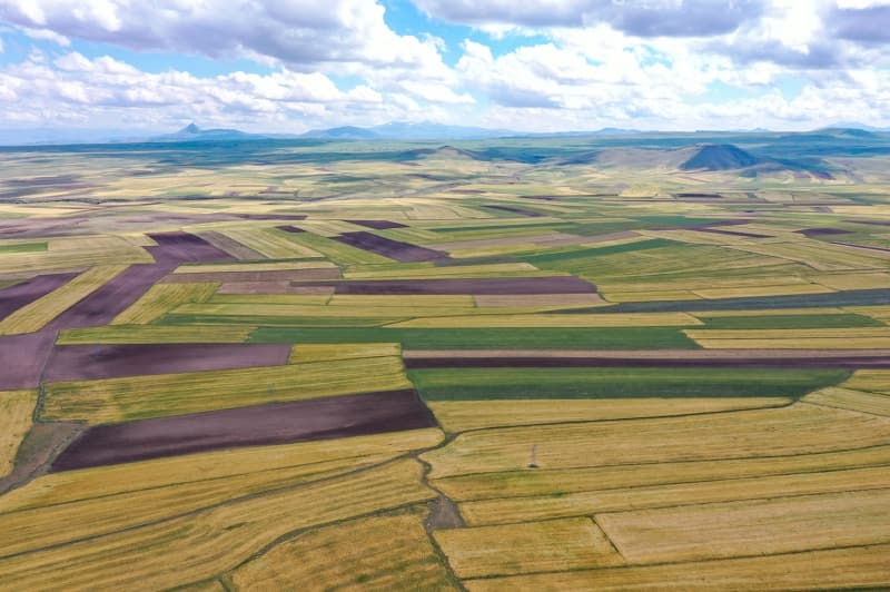 <p>Anadolu Ajansı (AA) ekibince drone ile havadan görüntülenen arpa ve buğday tarlaları, görülmeye değer görüntüler sunuyor.</p>