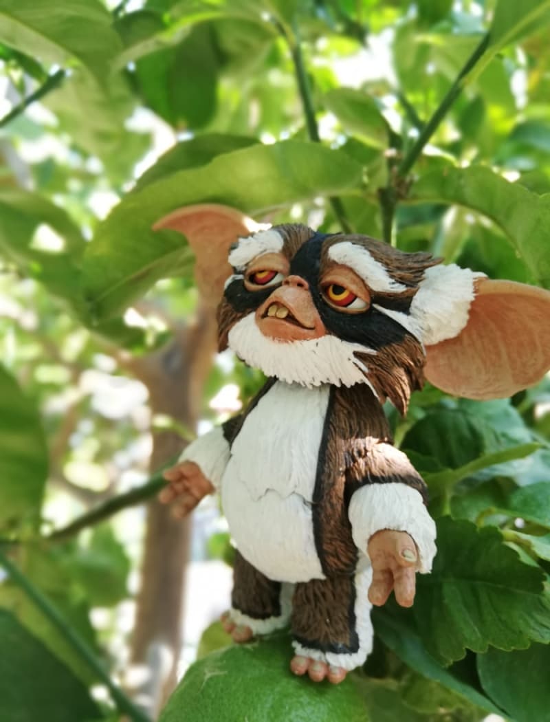 <p>Koleksiyonunu daha da geni�letmek istedi�ini aktaran T�re, f�rsat bulduk�a ara�t�rmalar yapt���n�, ilgisini �ekenleri almaya devam etti�ini dile getirdi.</p>