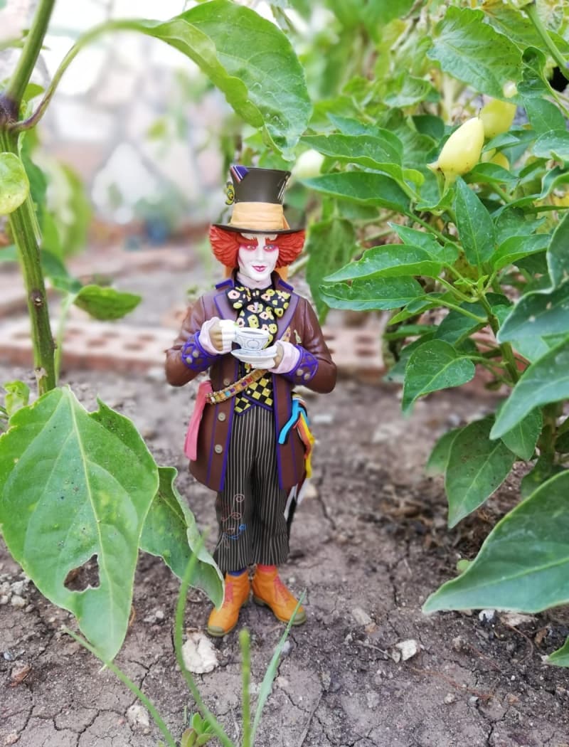 <p>Fig�r koleksiyonunu yakla��k 10 y�lda olu�turdu�u ifade eden T�re, 'Koleksiyonumu her ge�en g�n geli�tiriyorum. Koleksiyonumda televizyon, sinema, korku ve �izgi film karakterleri yer al�yor. K���kl���mden gelen bu al��kanl���m� 3-5 par�ayla ba�lamama ra�men �imdi kocaman bir koleksiyonun sahibi oldum.' dedi.</p>