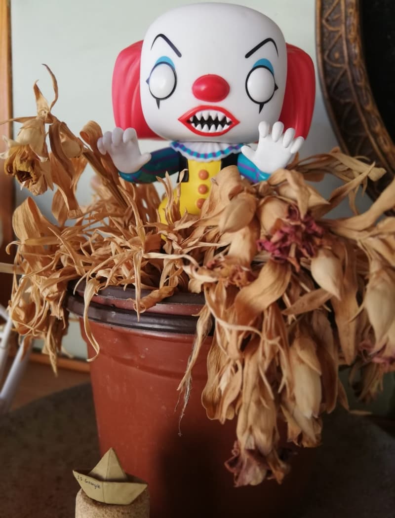 <p><b>- F�G�RLER RA�BET G�R�YOR</b><br></p>