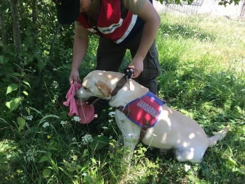 <p>Sosyal medyada İkranur'un annesi hakkında olumsuz ve eleştirel yorumlar yapıldı. İkranur'un annesi Nazlı Tirsi'nin sorumsuzluğu birçok vatandaş tarafından eleştirildi. 4 çocuğunu da bırakıp evi terk etmesi kendisinin başka birine kaçacağı iddialarını doğurdu. Müge Anlı'nın kendisine ısrarla 'birisine mi kaçıyordun?' sorusu üzerine bir süre sonra 'Jandarma'ya o kişi hakkında gereken her şeyi anlattım' ifadesini kullandı. Nazlı Tirsi'nin daha önce veya halen birlikte olduğu birinin küçük İkranur'a zarar vermiş olabileceği konuşuluyor.</p>