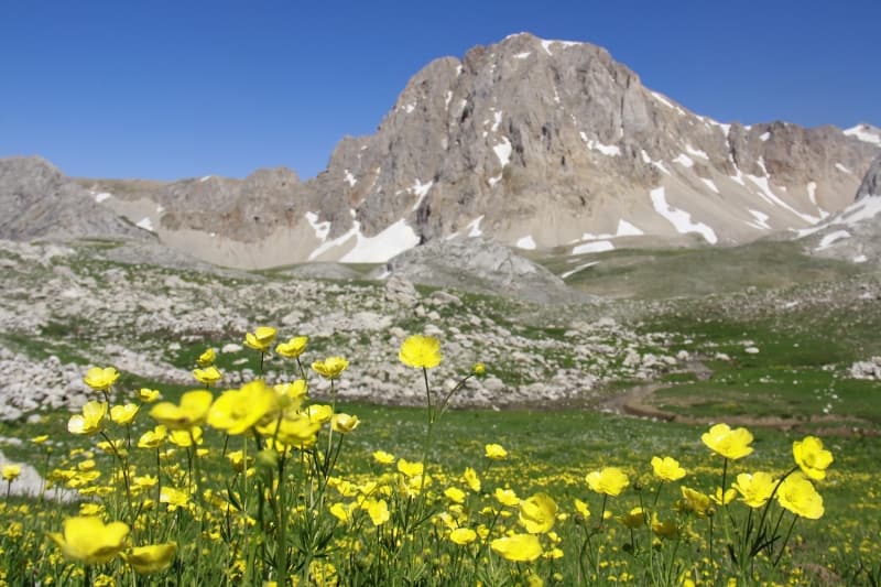 <p>Yaz aylarında Munzur Dağları'na gezi düzenlediklerini belirten Eroğlu, 'Bu dağlar yaylaları ve buzul gölleriyle yaz aylarında çok güzel oluyor. Bizler de her sene karların erimesiyle dağlara tırmanışlar yapıyoruz. Buzul gölleri ve yaylaları geziyoruz, yemyeşil doğada keyifli vakit geçiriyoruz. Herkesin gelip bu dağların güzelliklerini görmesini tavsiye ederim.' dedi.</p>