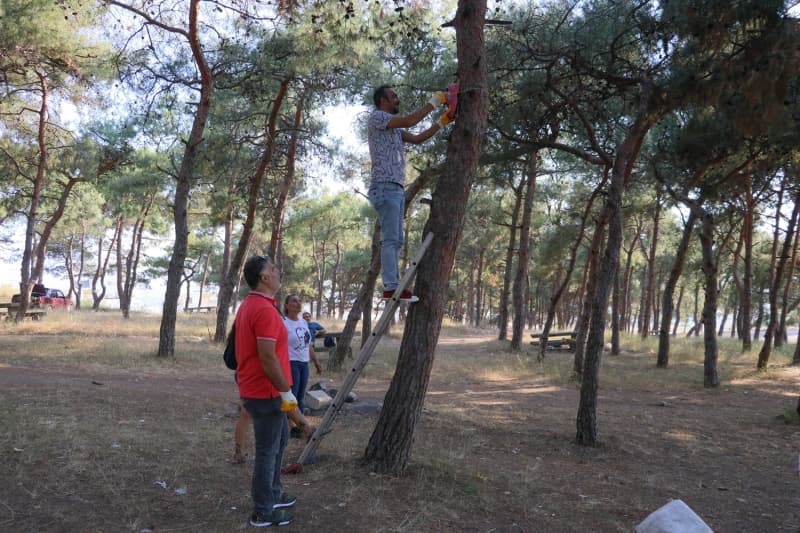 <p>Kısa sürede toplanan 80 çift ayakkabıyı bir atölyede kuşların yaşayacağı şekilde genişletip, işlemden geçirerek çeşitli renklere boyayan vatandaşlar, yaptıkları yeni kuş yuvalarını ormanlık alana yerleştirmek için yetkililerden izin aldı.</p>