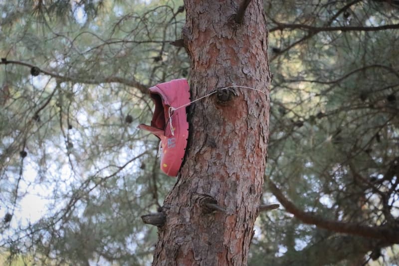 <p>Projeye destek veren Nevzat Kurt da Avrupa'da örneği bulunan projeyi Türkiye'de de uyguladıklarını dile getirdi.</p>