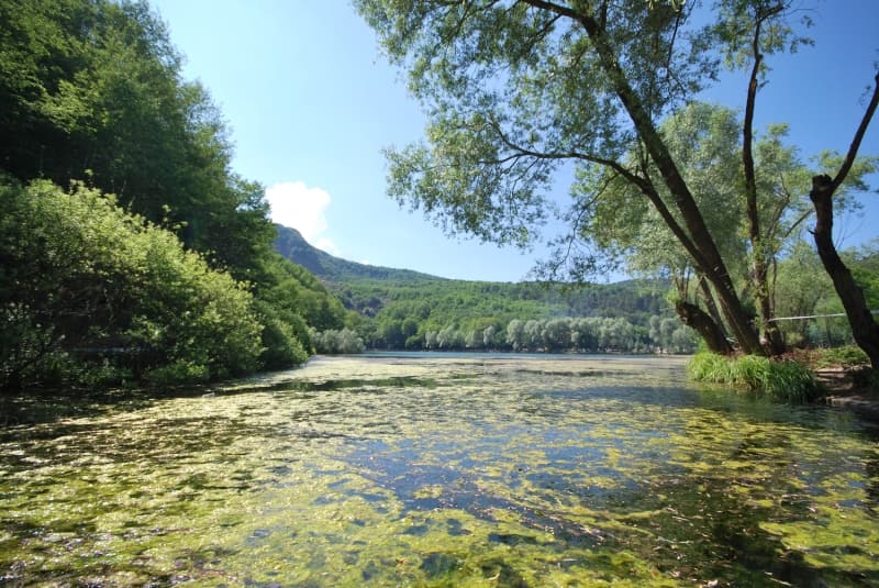 <p>Kovid-19 salgını sürecinde ziyarete kapatılan Karagöl Tabiat Parkı, 1 Haziran itibarıyla belirlenen kurallar dahilinde yeniden ziyarete açıldı.</p>