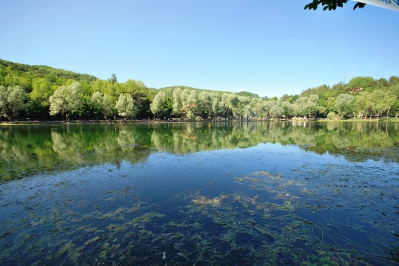 <p>Karagöl Tabiat Parkı'nda hafta sonunun yanı sıra hafta içi de yoğunluk gözleniyor.</p>