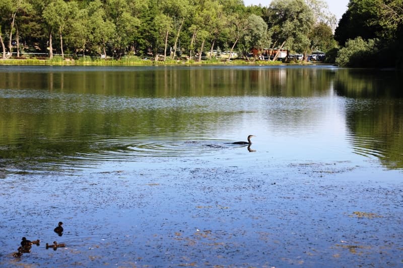 <p>Hacı Ömer Erkan da Karagöl'ün havasının çok güzel olduğunu ifade ederek, 'Sabahtan geldik ve akşama kadar burada zaman geçirdik. Gayet güzel, çok memnun olduk. Özellikle serin olması bizi rahatlattı.' diye konuştu.</p>