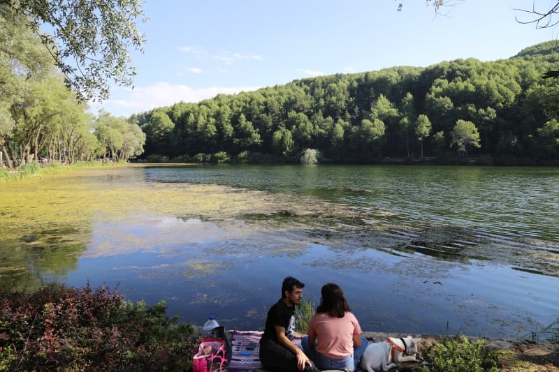 <p>'Her şeye rağmen çok güzel bir yer. Ailemizle çocuklarımızla gelebileceğimiz güzel, güvenli bir yer. Biz de ailemizle birlikte geldik. Pandemi süresince çocuklar dışarı çıkamamıştı, onlar için de güzel oldu, hava aldılar, kendilerine geldiler.'</p>
