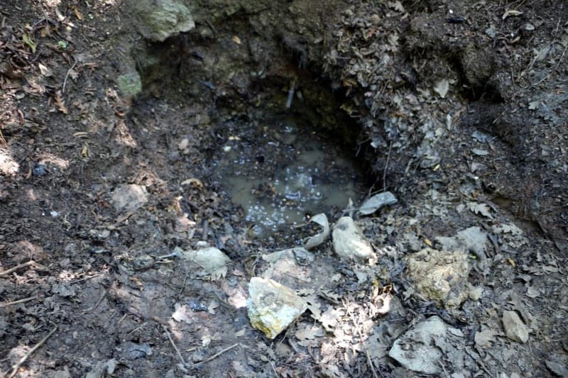 <p>Eryaba Köyü Muhtarı Şerif Sözen (63), 'Biz buraya kuş geçmez suyu diyoruz. Buranın üzerinden uçan kuşlar, buraya indiği zaman suyundan mı içiyor artık bilemiyoruz, geri kalkamıyor, ölüyor.</p>