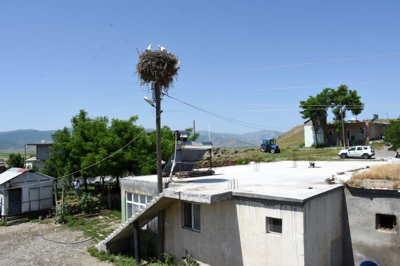 <p>'Buraya gelen leylekler sevgiyle karlanyorlar. Her yl mart aynn ilk haftasndan itibaren nceki yl bulunduklar yuvalarna gelirler. Kuluka sonras yavrular uu aamasna getikten sonra austosun ikinci haftasndan itibaren tekrar gneye, Afrika'ya doru g hazrlklarna balarlar. Mu Ovas'ndaki kylerin tamamnda elektrik ve telefon direkleri, cami minareleri ve evlerin stnde leylek yuvalar bulunur. Binlerce leylek ovada bahar ve yaz geirip yavrularn bytr. nsanlarn da sahiplenmesi leyleklere gven veriyor.'</p>