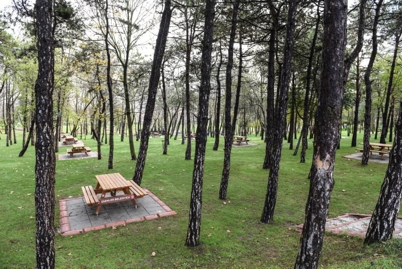 <p>Esenler ve Zeytinburnu: 1.</p>