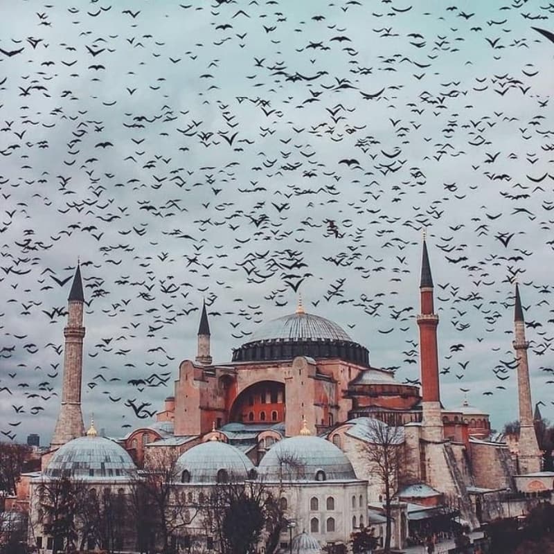 <p>Ayasofya camii resimleri: Birbirinden güzel Ayasofya fotoğrafları!</p>