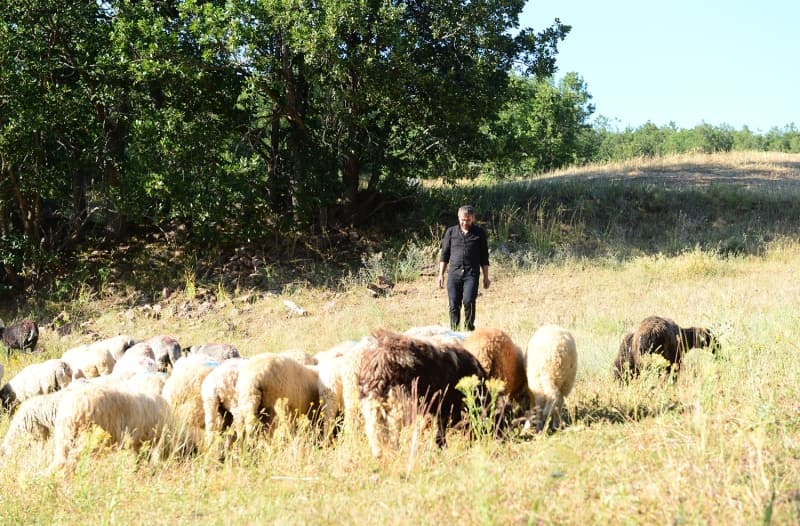 <p>Mücahit Şerbetçi, AA muhabirine, 23 yıl önce Alucra'dan İstanbul'a giderek 16 yıl boyunca belediyede çalıştığını söyledi.</p>