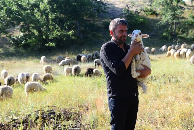 <p>İstanbul'un kalabalığı ve yoğunluğundan sıkılarak köyüne dönüp hayvancılık yapmaya karar verdiğini anlatan Şerbetçi, hem de memleketinde boş duran arazileri değerlendirmeyi amaçladığını kaydetti.</p>