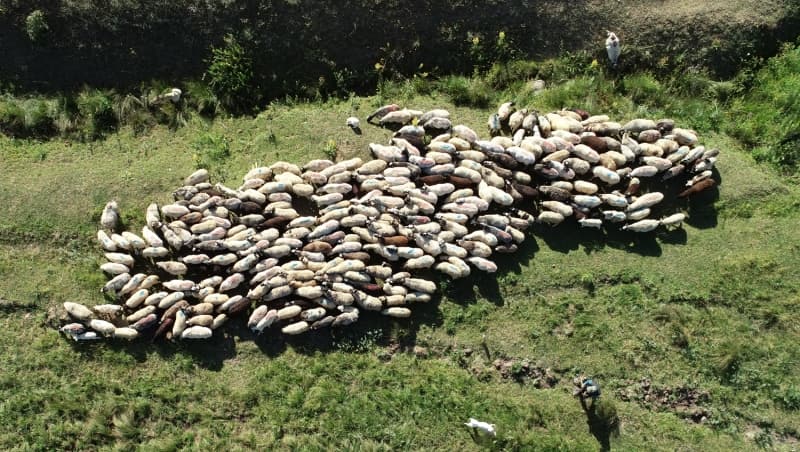 <p>Belediyedeki 16 yıllık hizmet süresini sonlandırıp istifa ederek memleketine yerleştiğini söyleyen Şerbetçi, şöyle devam etti:</p>