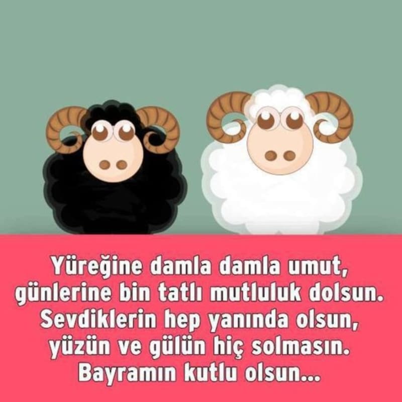 <p>Kardeliimizi daha da glendiren bu gzel bayram cokusunun lkemize, milletimize, slam lemine, tm insanla bar, huzur, mutluluk ve hayrlar getirmesini Allah'tan temenni ediyorum</p>