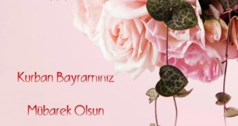 <p>zlemleri gideren, her trl dargnlklar ve krgnlklar unutturan bayramlar, sevgi ve hogr duygularn glendirerek, sevin ve mutluluu yaadmz zel gnlerdir. Sizin ve ailenizin Kurban Bayram'n tebrik ediyorum.</p>