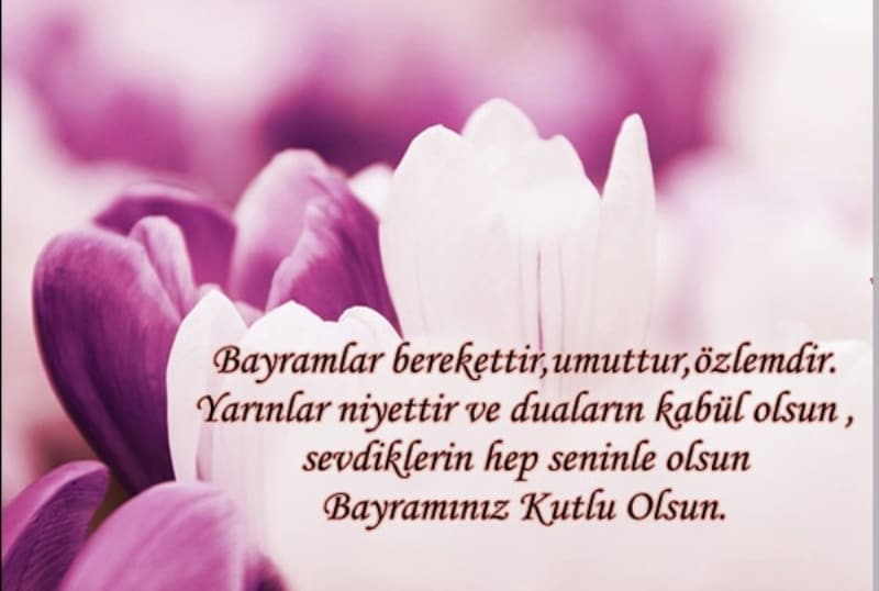 <p>Kurban bayram resimli mesajlar 2020: Dual Kurban Bayram kutlama mesajlar</p>