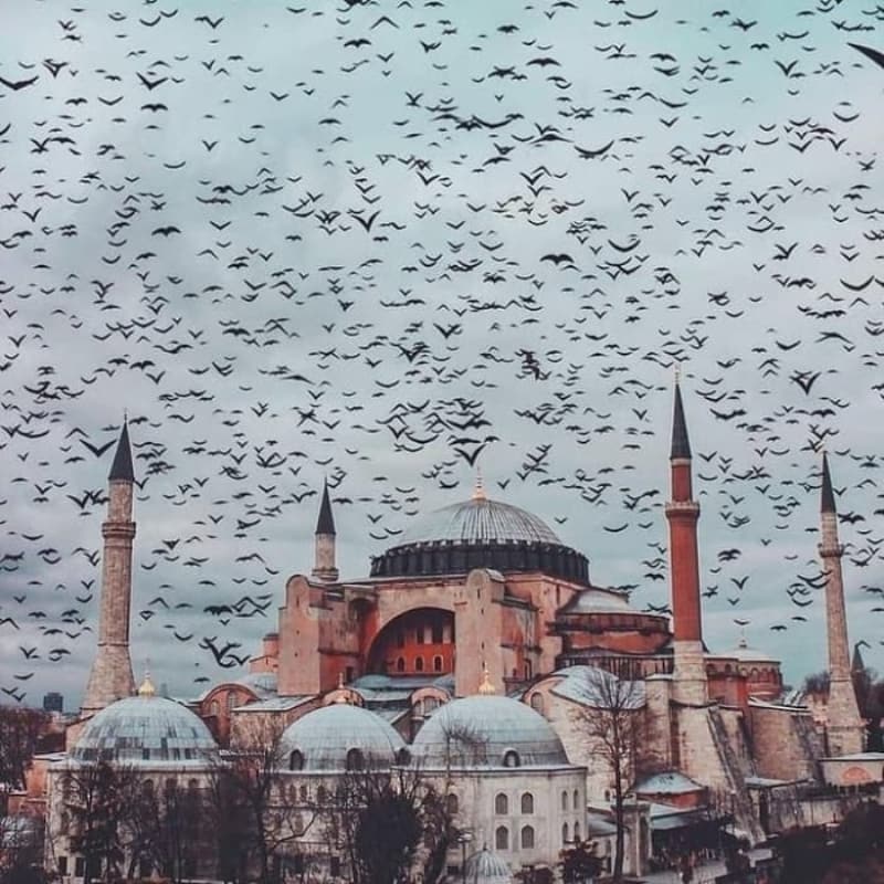 <p>Bugn Bayram! Mbarek Kurban Bayram Tm insanlar birbirlerine daha ok yaknlasn, dargnlklar ortadan kalksn, kardelik ve dostluk duygular daha da kuvvetlensin. Tm insanlar nee ve mutluluk denizinde yzsn. Bugn sevin gn, kederleri bir yana brakp mutlu olalm. Hayrl bayramlar.</p><p><br></p>