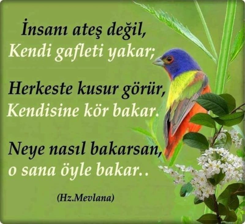 <p>En güzel Mevlana cuma sözleri resimli mesajlar</p>