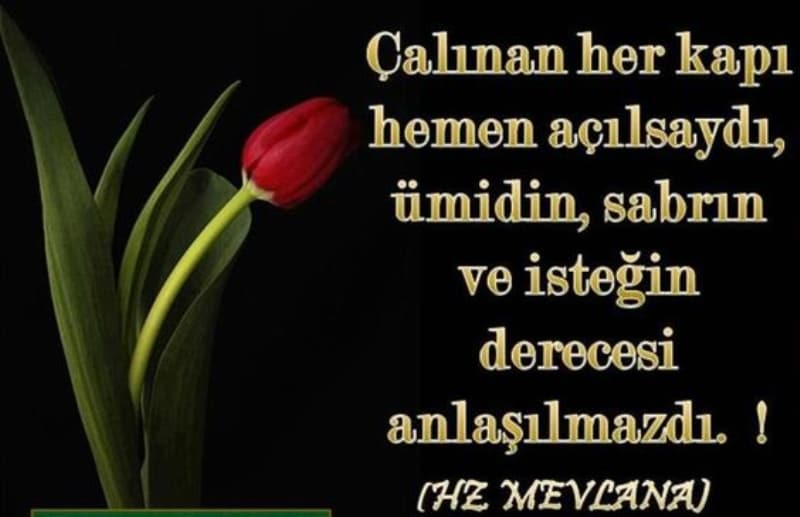 <p>En güzel Mevlana cuma sözleri resimli mesajlar</p>