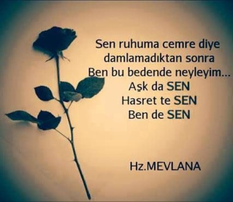 <p>En güzel Mevlana cuma sözleri resimli mesajlar</p>