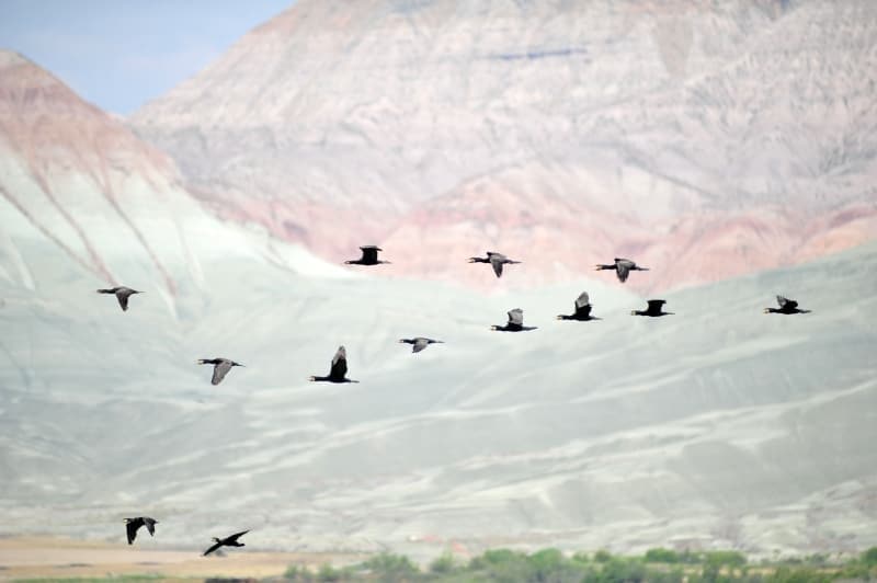 <p>Tuncer, s�zlerine ��yle devam etti:</p><p>“Yerli ve yabanc� ara�t�rmac�lar taraf�ndan �ok say�da bilimsel �al��ma ger�ekle�tirilmi�tir. Nall�han’daki bu istif, eski bir g�le ait kal�n bir istif sunmaktad�r. G�lde o d�nemde ��kelen sedimanlar�n yan� s�ra o d�nemde g�lde ya�am�� olan canl�lar ve g�l�n �evresinde o d�nemde bulunan bitkilerin kal�nt�lar� bu istiflerden elde edilerek ge�mi� d�neme ait iklim, tektonizma ve paleoortam de�erlendirmeleri yapmak m�mk�nd�r. Bu y�nden hem sosyal hem de bilimsel olarak �nem arz etmektedir.”</p>