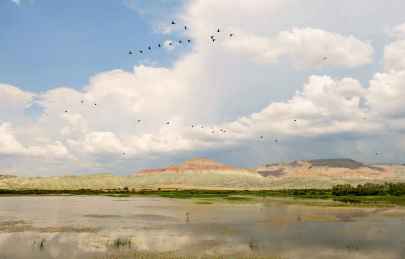 Tepelerde g�r�len �e�itli renklerin olu�um s�recine de�inen Tuncer, “Renkler, sedimanlar�n ��keldi�i s�rada ve ��keldikten sonra ger�ekle�en diyajenez evrelerinde, ��kellerin b�nyelerinde bulundurduklar� element ve minerallere ba�l� olarak olu�maktad�r. Kahverengi-k�rm�z� tonlar, demir elementinin oksitlenmesi ve olu�turdu�u minerallerin etkisi ile meydana gelmektedir. �stifin alt seviyelerinde siyah-gri seviyelerin g�zlenmesi ise organik maddece zengin, oksijen etkisinin olmad��� yani oksidasyon etkisinin g�r�lmedi�i ortamlarda, organik maddenin ��r�medi�i ve ��keldi�i ko�ullar� i�aret edebildi�ini” s�yledi.