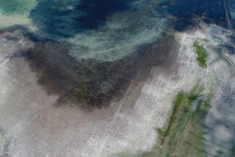 <p>İstanbul'da korkutan görüntü! Barajlardaki su seviyesi düştü</p>