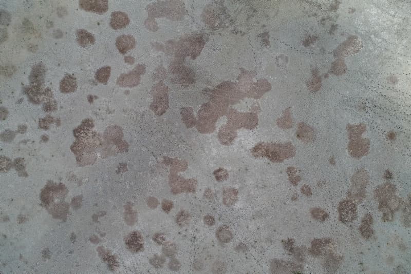 <p>İstanbul'da korkutan görüntü! Barajlardaki su seviyesi düştü</p>