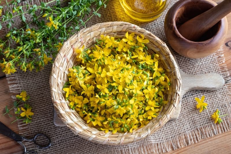 <p><span >Kepek ve saç dökülme sorunlarına iyi gelir, saçı güçlendirir.</span><br></p>