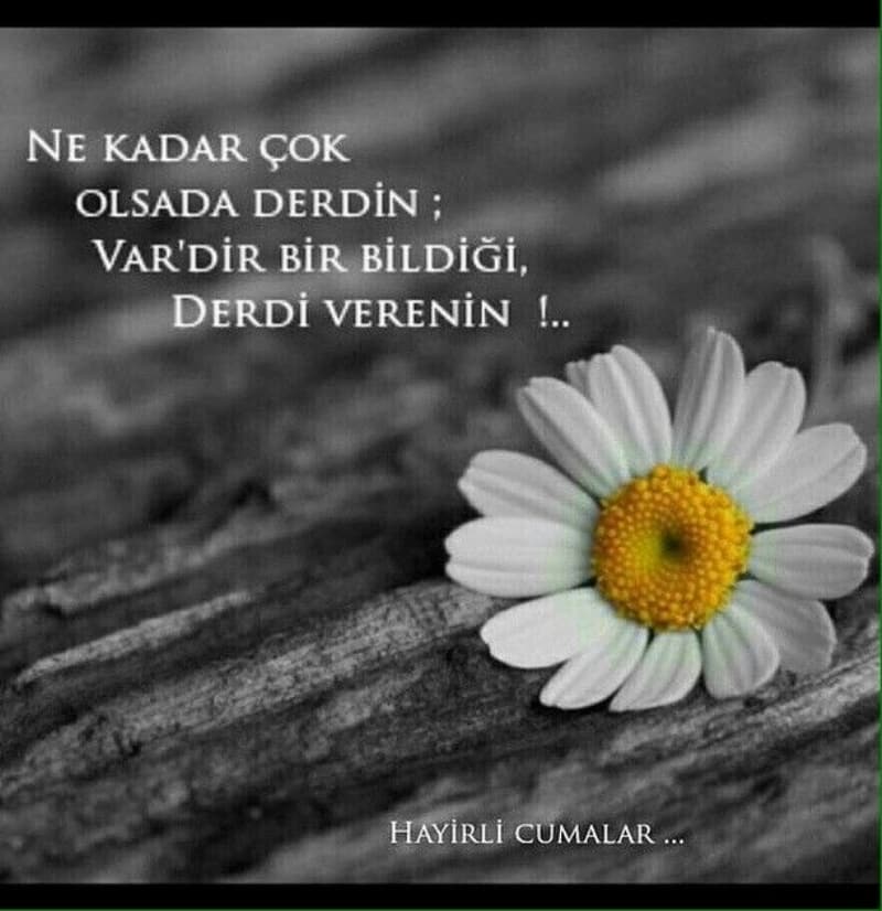 <p>Allah'ın nuruyla, ümmetini selamlayan gül yüzlü nur Peygamberin (s.a.v) şefaati üzerimize olsun. Hayırlı Cumalar.</p>