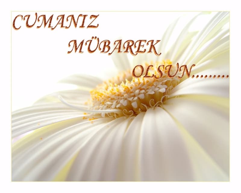 <p><span >Ey ALLAHIM! Sen ümit edeni ümitsizliğe düşürmezsin. Sen Sen'den isteyeni geri çevirmezsin. Ey ismi Deva, Zikri şifa ve itaati zenginlik olan; sermayesi ümit ve silahı dua olan bu kullarına maddi manevi şifa ol. Sana yönelen kalplerimizi boş çevirme. (Amin) hayırlı cumalar...</span><br></p>