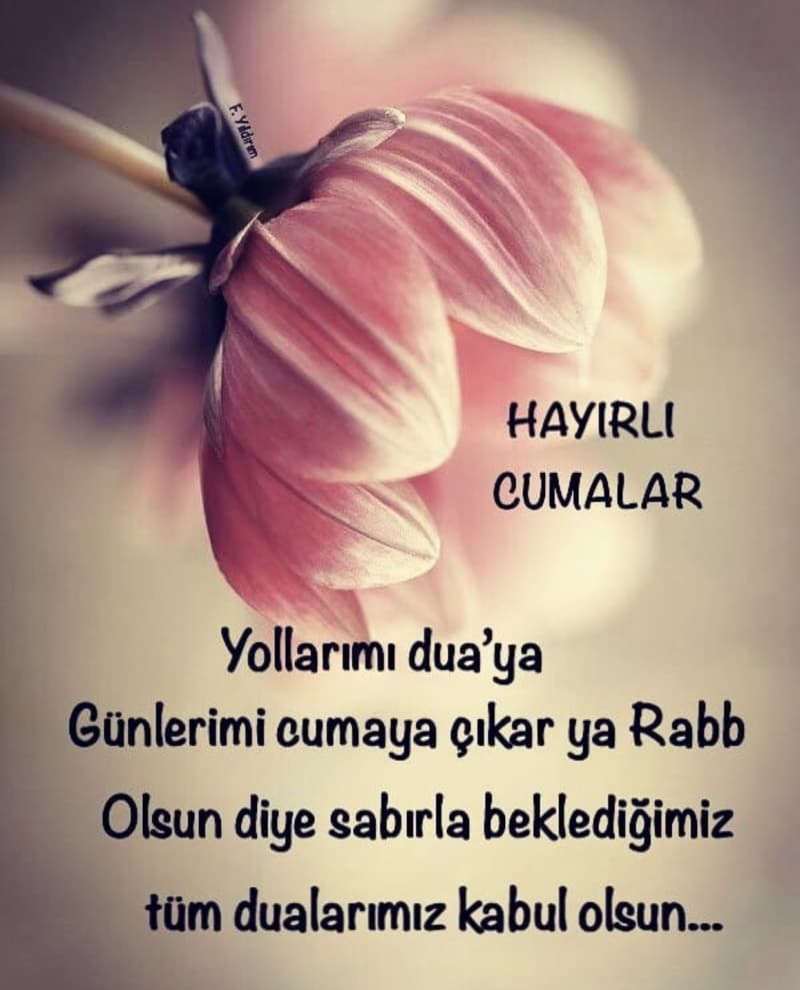 <p><span >Lailahe illallah selalar duasi için, Muhammedün Resullullah arsi ala gölgesi için hastalara sifa, dertlilere deva, borçlulara edalar ihsan eyle Ya Rabbim.</span><br></p>