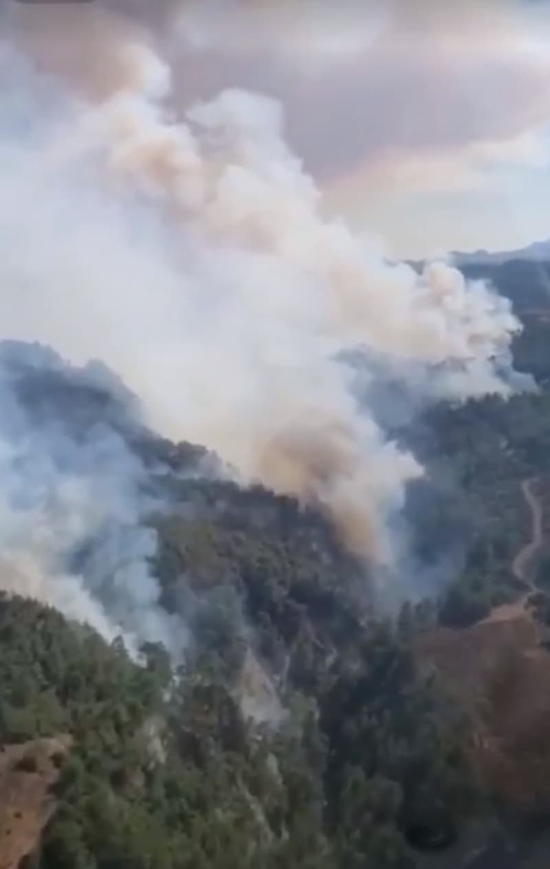 <p>Bölgeye Adana İl Jandarma Komutanlığına bağlı özel tim ve komando birlikleri sevk edilirken, sabah havanın aydınlanmasıyla yangına havadan müdahaleye yeniden başlanacağı bildirildi.</p>