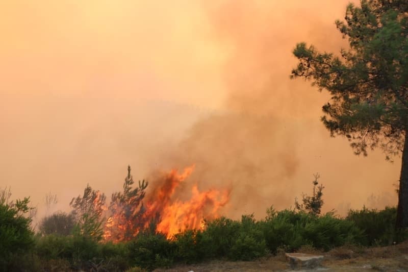 <p>Adana'nın Kozan ilçesinde ormanlık alanda başlayan ve şu ana kadar 200 hektardan fazla alanın zarar gördüğü orman yangını kontrol altına alınmaya çalışılıyor.</p>