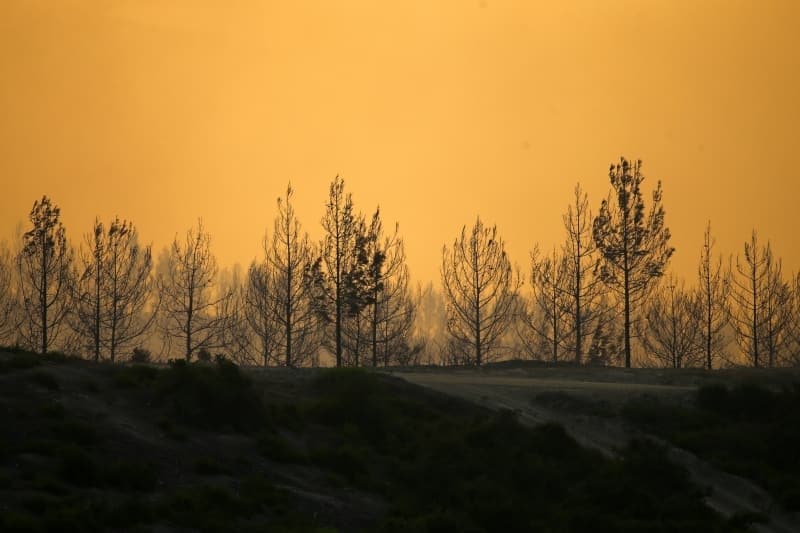 <p>2 yangın söndürme uçağı ve 6 yangın söndürme helikopterinin havadan, 90 arazöz ve ekibin karadan müdahale ettiği yangın nedeniyle bölgede bulunan 8 köy ve 800 hane tahliye edildi. Gece ara verilen havadan müdahale sabah saatlerinde yeniden başladı.</p><p><br></p>