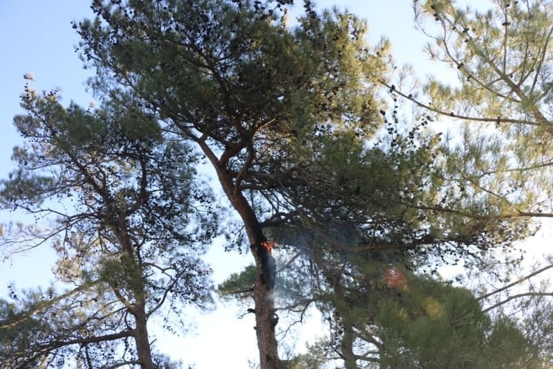 <p><b>SABOTAJ İHTİMALİ</b></p><p><b><br></b></p><p>Tarım ve Orman Bakanı Pakdemirli yangını en kısa sürede kontrol altına almaya çalıştıklarını belirtti. Pakdemirli, 'Henüz yangın tam anlamıyla kontrol altında diyemiyoruz ancak yukarıdan en son incelemelerimize göre iyiye doğru gidiş olduğunu da gözlemlemek mümkün' açıklamasında bulundu. </p>