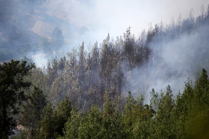 <p><b>KUNDAKLAMA ŞÜPHESİ</b></p><p><b><br></b></p><p>Yetkililer, yangının aynı anda birkaç farklı noktada başlaması nedeniyle kundaklama olabileceği şüphesi üzerinde durduklarını belirtirken, çıkış sebebinin söndürüldükten sonra tespit edilebileceği ifade edildi.</p>