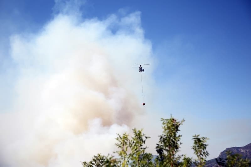 <p>Adana'daki orman yangınından fotoğraflar</p>